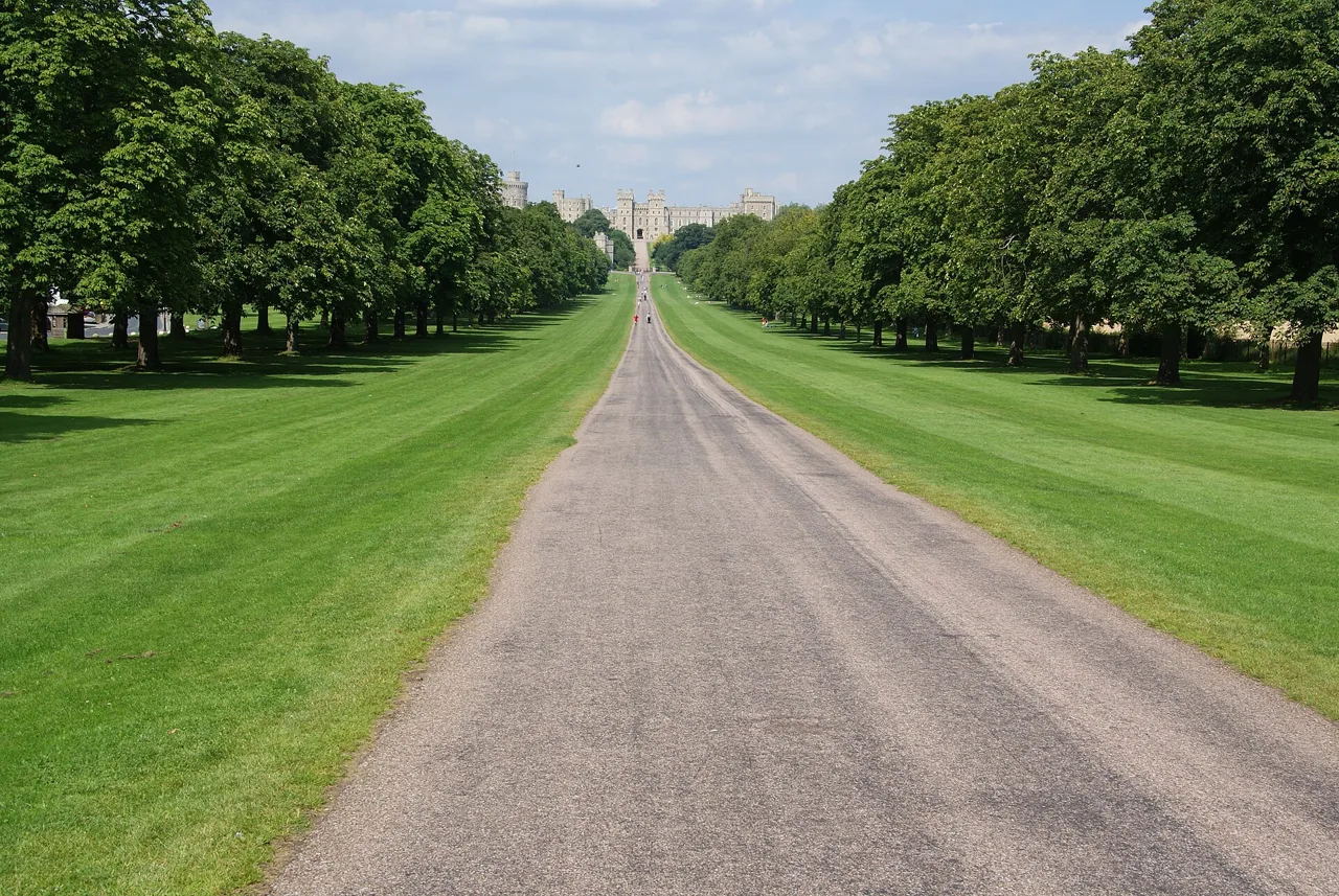 The tree-lined Long Walk leading towards Windsor Castle