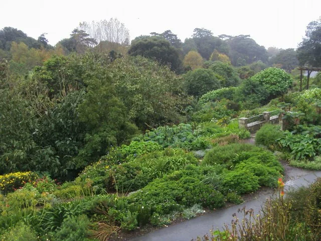 Planting at Ventnor Botanic Garden