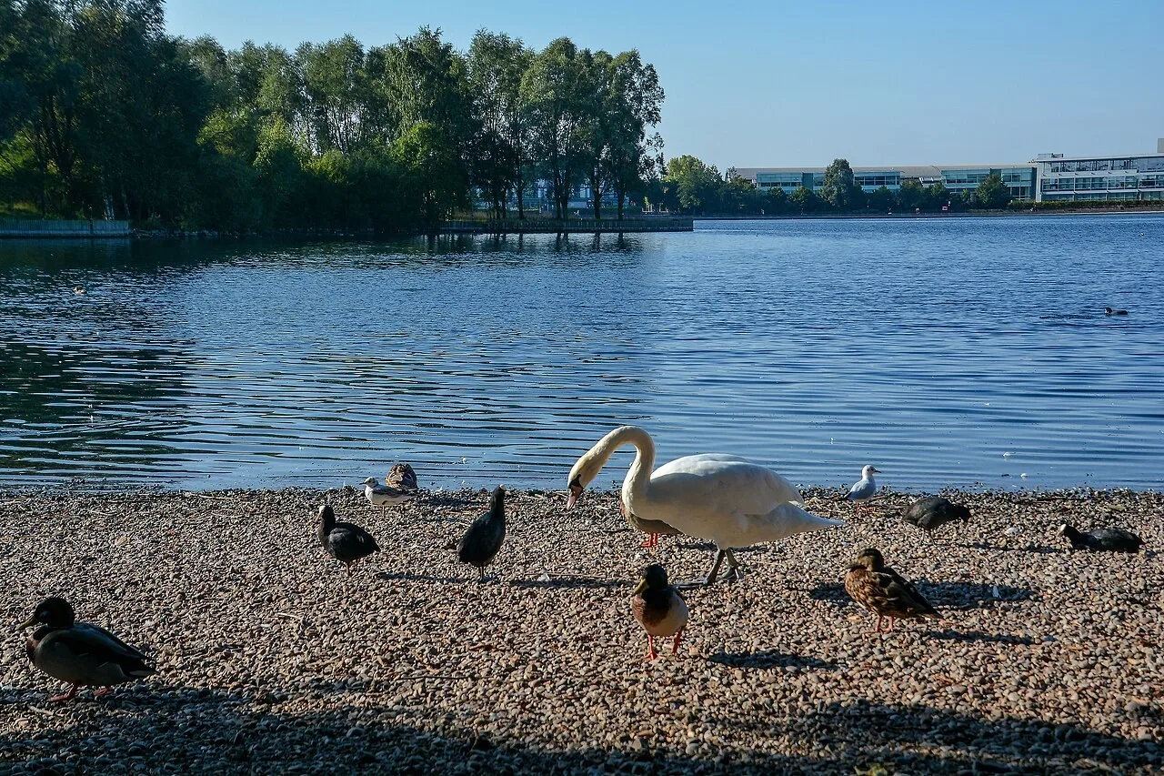 The lake and waterside at Doncaster Lakeside