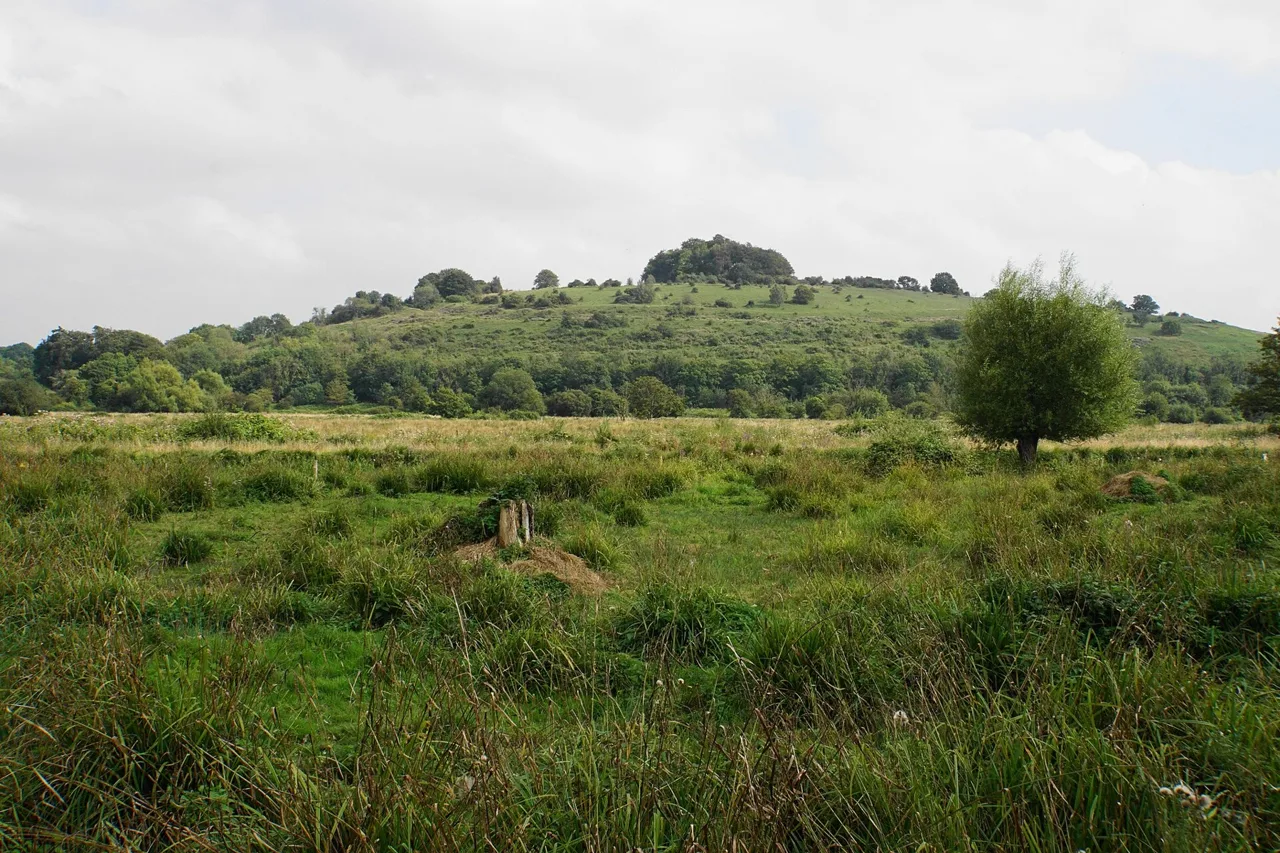 St Faith’s Meadow beside the southern Winchester walking routes