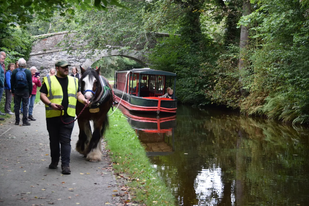 Horse-drawn canal boat near Llangollen