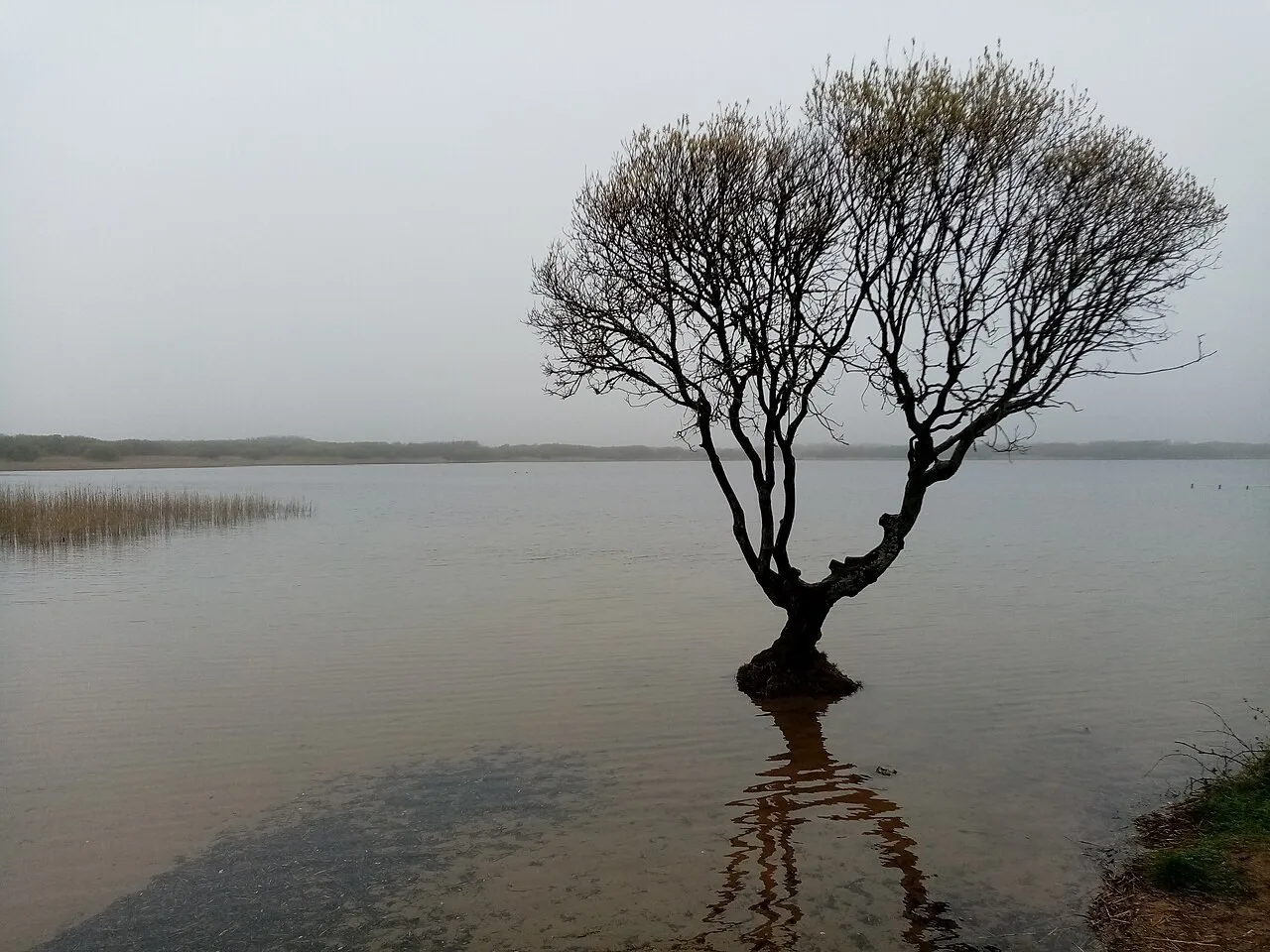 Kenfig Pool within Kenfig Nature Reserve