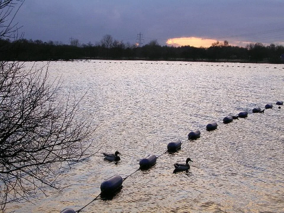 Drumpellier Country Park in Coatbridge