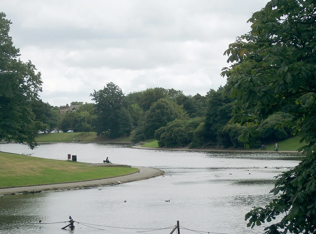 Curving paths and trees beside the lake in Sefton Park
