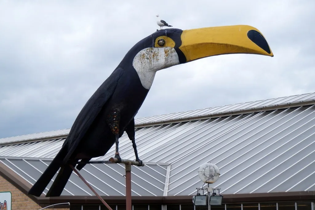Toucan sculpture above the Amazonia building at M and Ds, Strathclyde Country Park