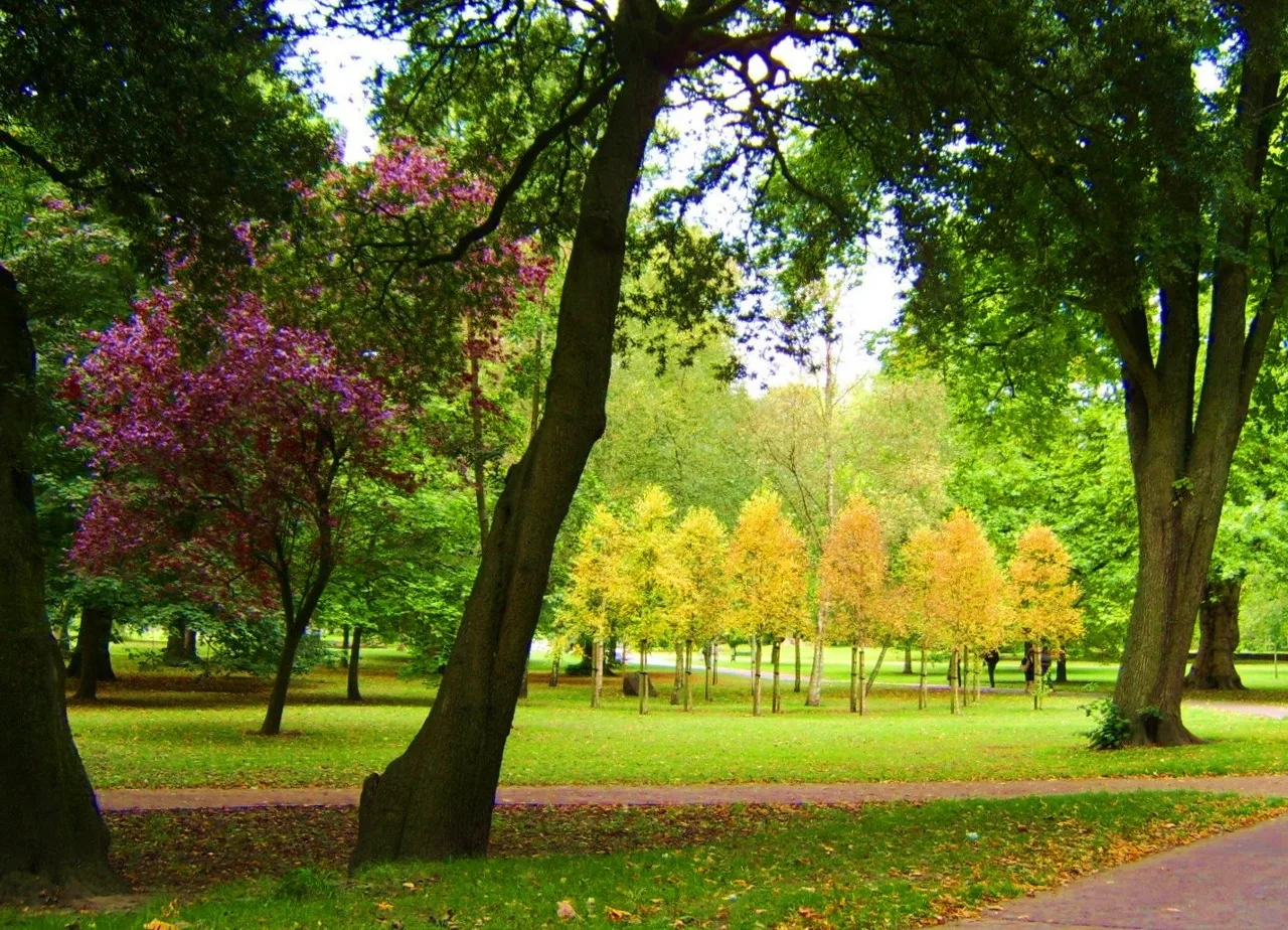 Trees and lawns in Bute Park beside central Cardiff