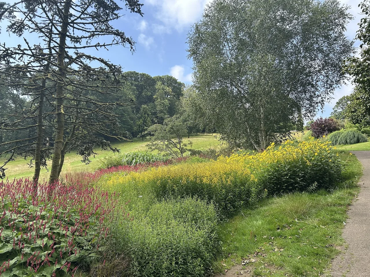 Flowering beds and mature trees on a slope in Clyne Gardens