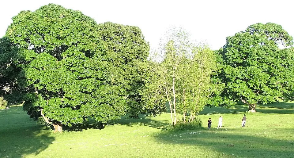 The Palace Demesne in Armagh