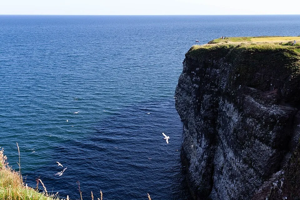 The coastal cliffs at Fowlsheugh near Crawton
