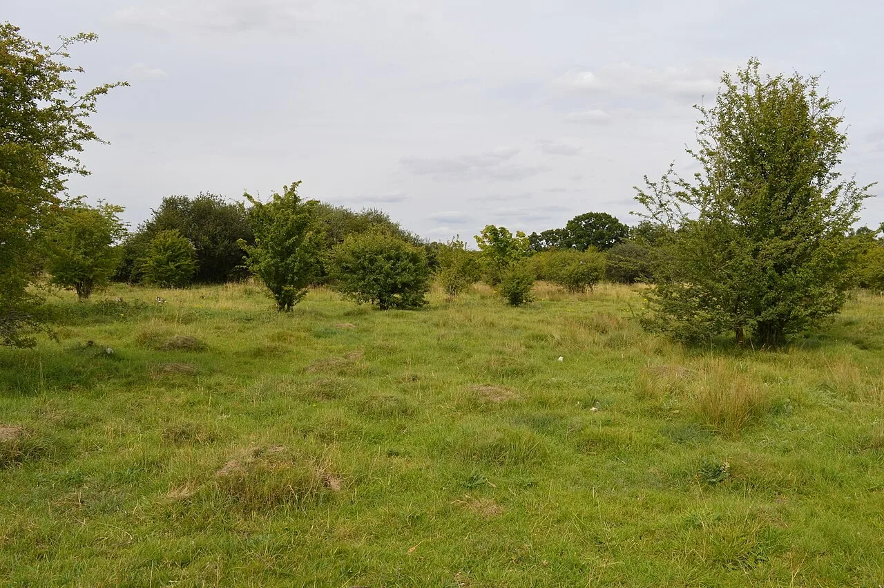 Landscape at Oughtonhead Common in Hitchin