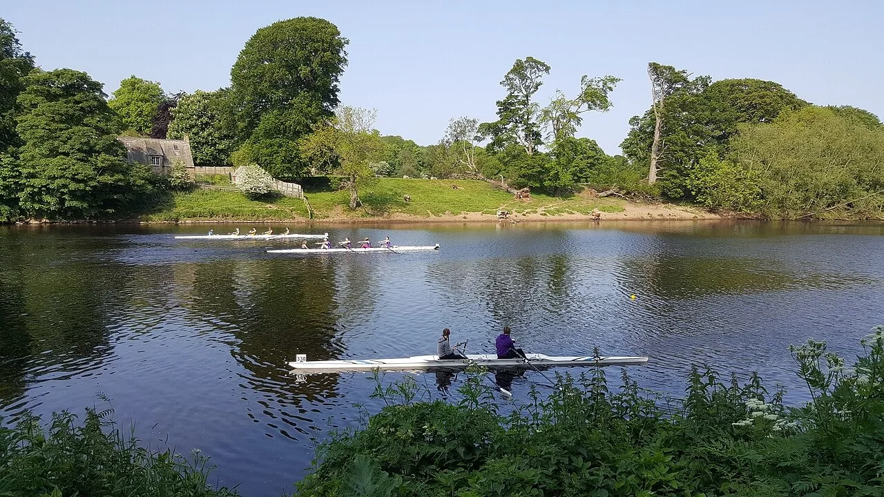 Rowing boats on the River Tyne viewed from Tyne Green on regatta day