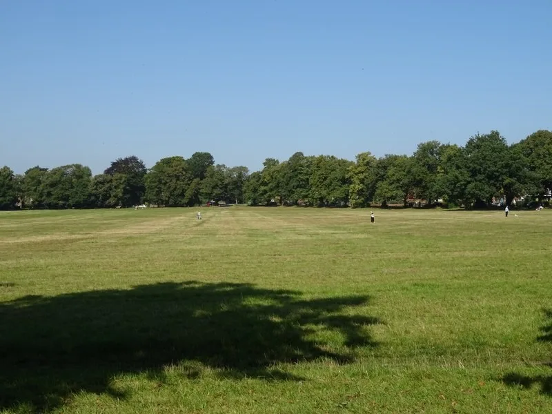 Trees and open ground on Knutsford Heath